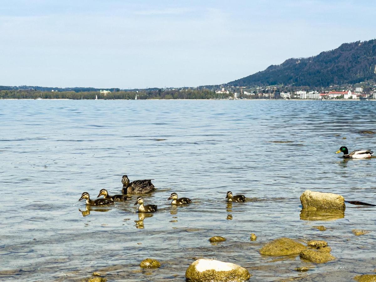 Ferienwohnung Bregenz 6 Top 4 外观 照片